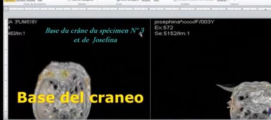 ALIEN PROJECT - Les momies du Pérou/5