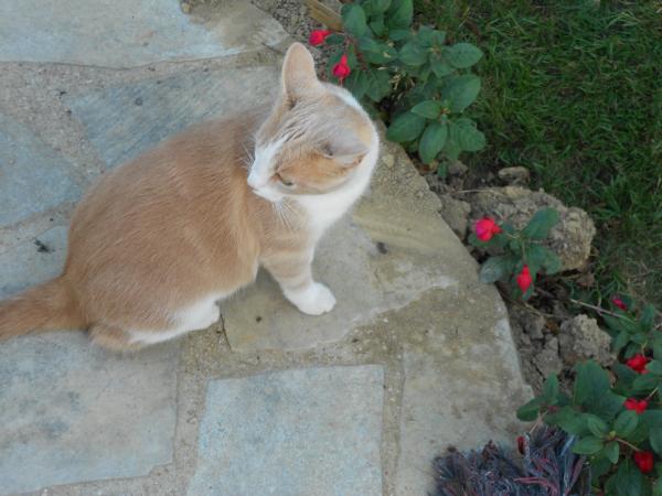 Un petit tour de jardin ... !!!