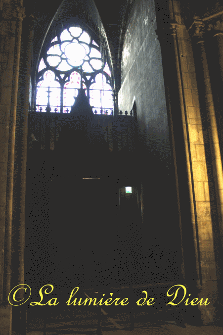 La cathédrale Notre-Dame de Paris