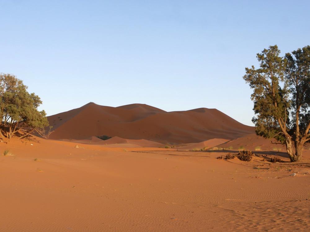 Les dunes de Merzouga