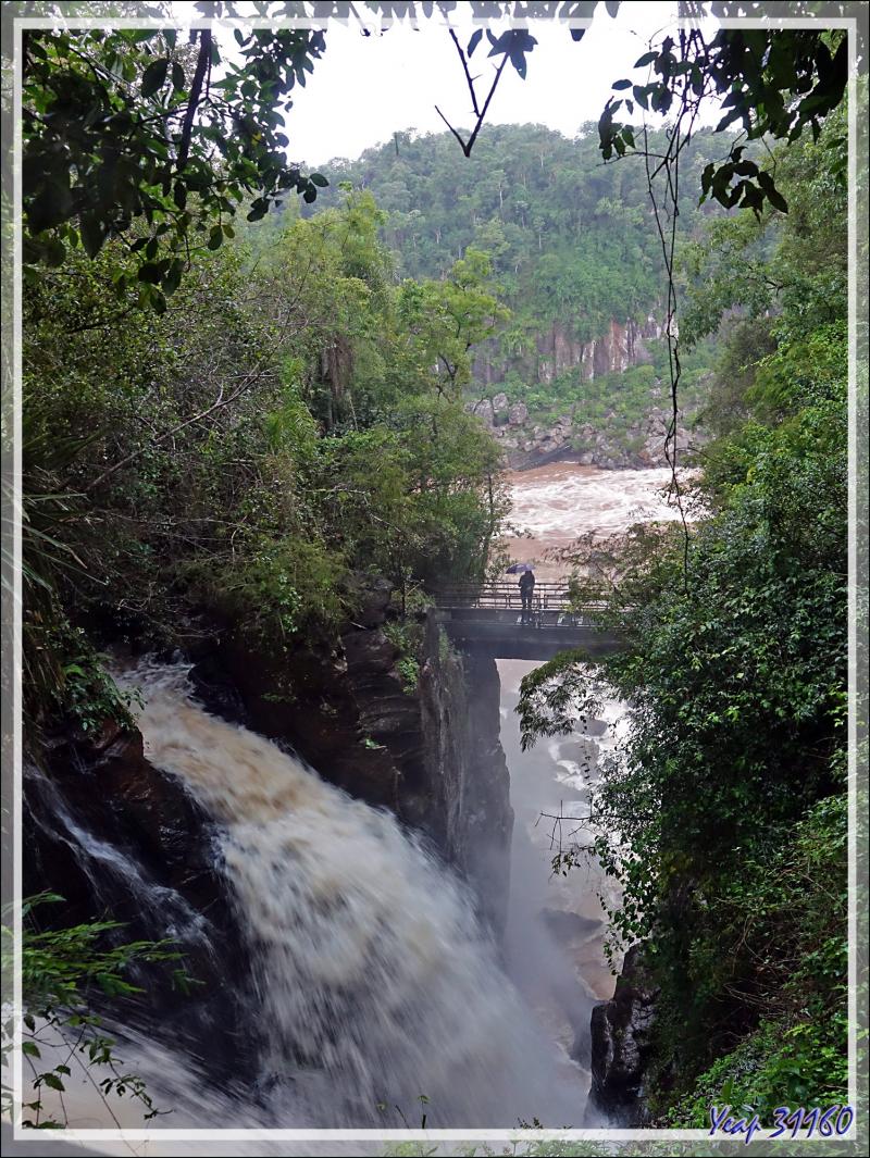 Une parmi tant d'autres ! - Chutes d'Iguazu - Puerto Iguazu - Argentine