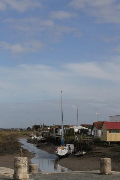 2 Mornac sur Seudre (16)