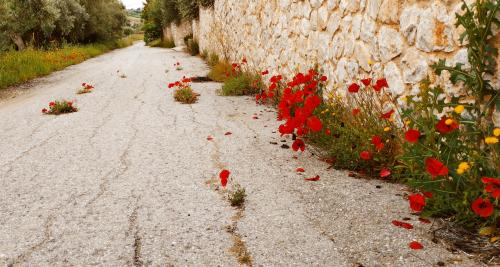 Patience et patience !