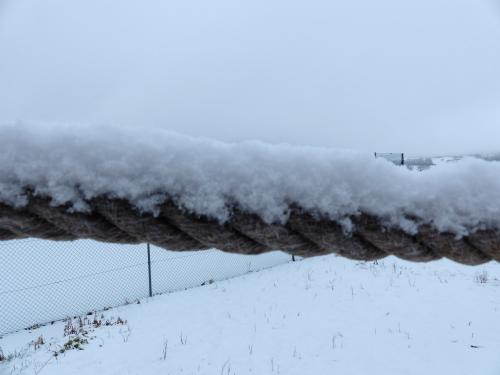 Graphisme hivernal :