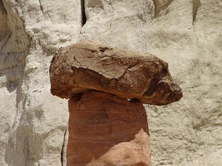 LES ROCHERS CHAMPIGNONS