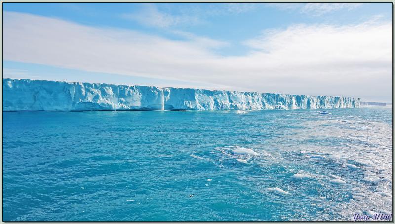 Un peu de "birdwatching" le long du Glacier Bråsvell (Bråsvellbreen) - Calotte glacière Austfonna - Nordaustlandet Island - Svalbard - Norvège