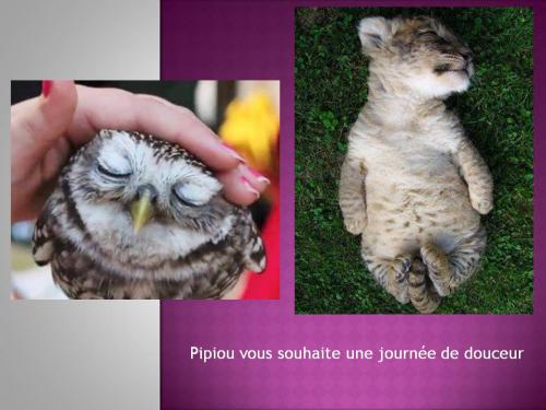 Mamyrose, Gravhelio, Kalypso , Marie-Claire..ou Thérèse.T