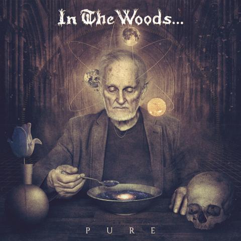 IN THE WOODS... - Détails concernant le nouvel album