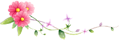 Fleurs en beauté ...