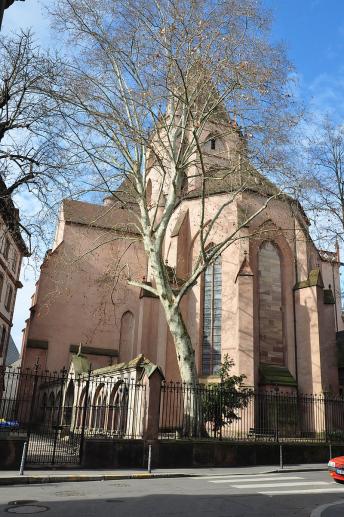 Église Saint-Thomas de Strasbourg.jpg