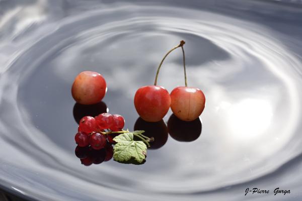 "Variations sur la cerise", de très belles photos de Jean-Pierre Gurga, souvenirs d'un début d'été généreux....