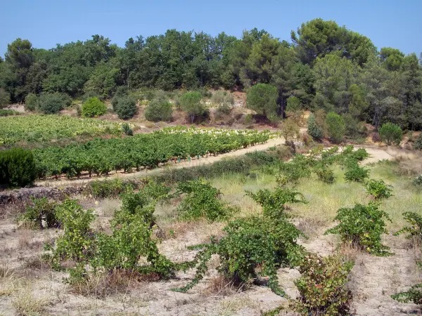 Département du Gard