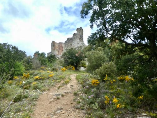 Peut être une image de nature