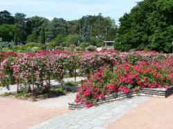 Un dimanche au parc  ... 