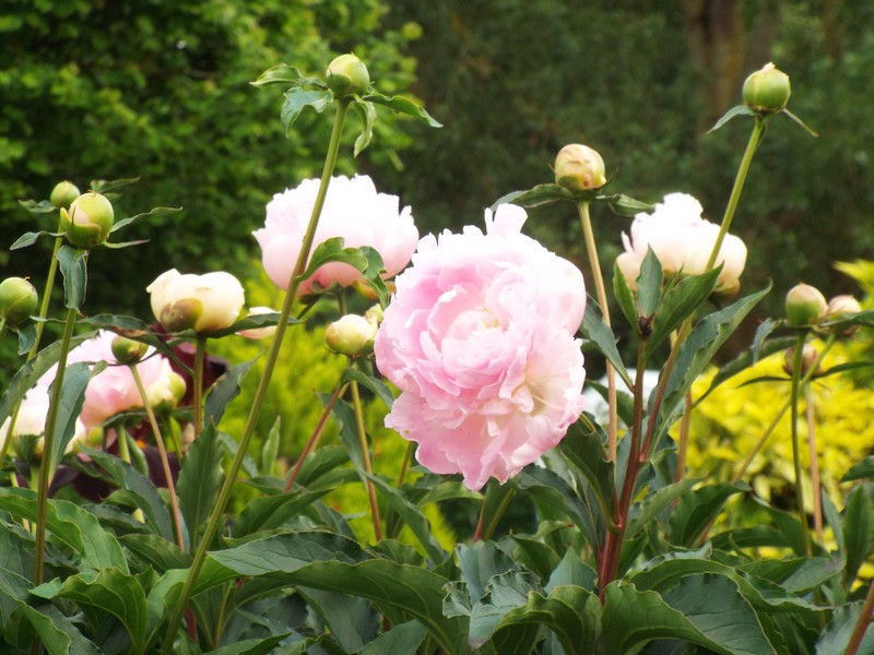 C'est à leur tour de nous émerveiller ...