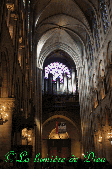 La cathédrale Notre-Dame de Paris