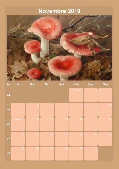 Bonjour Mois de Novembre !