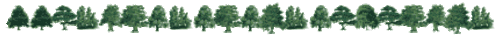 la fin du sapin 