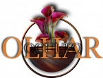 Olhar Oculto