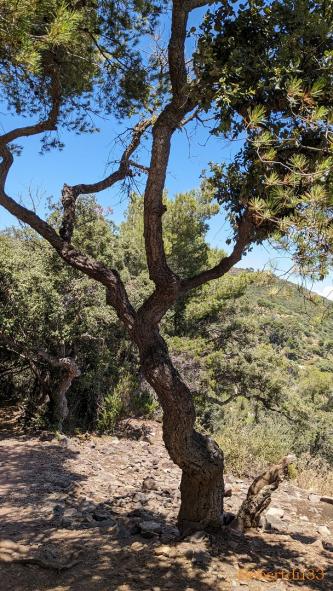 Le Pradet dans le Var - 2