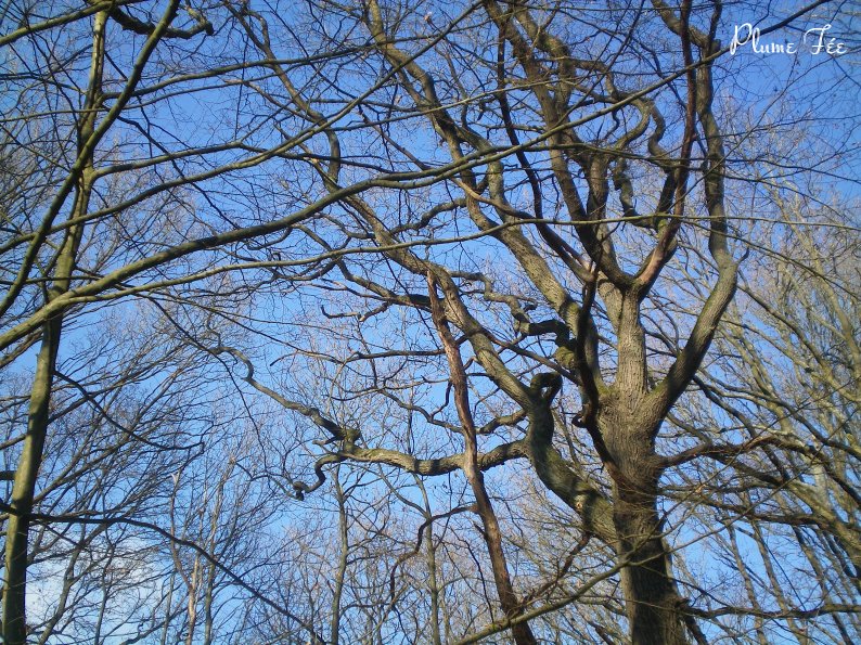Image006.jpg