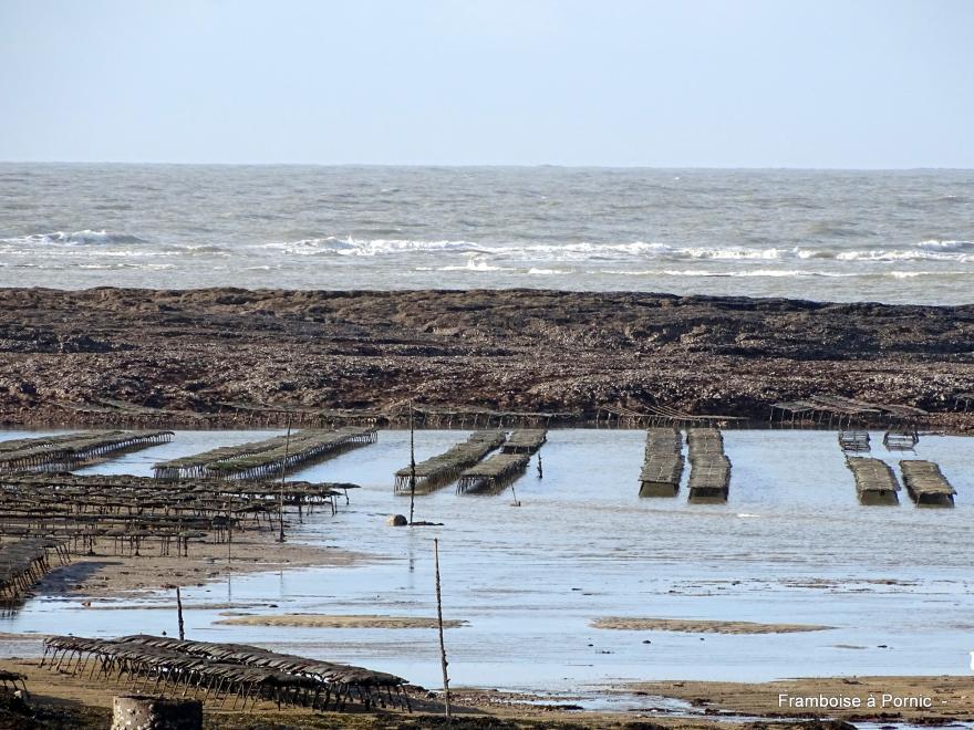 Sentier littoral La Plaine sur mer - 44 - 