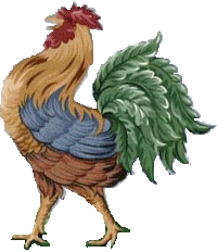 coq 11