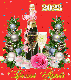 Bonne année 2023