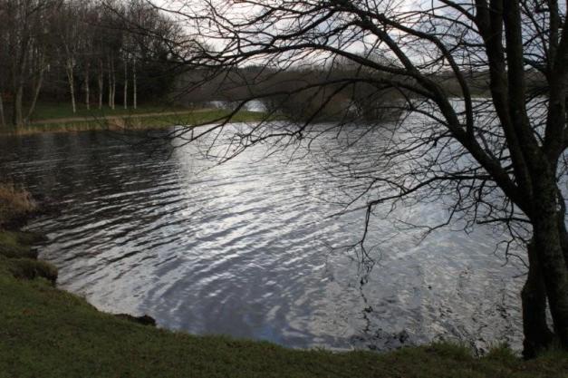 Au lac du Drennec (8)