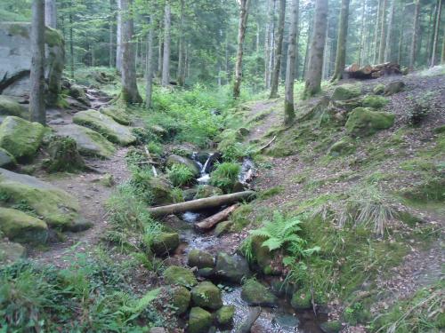 "Séjour dans Les Vosges" - 6 au 13 juin 2015