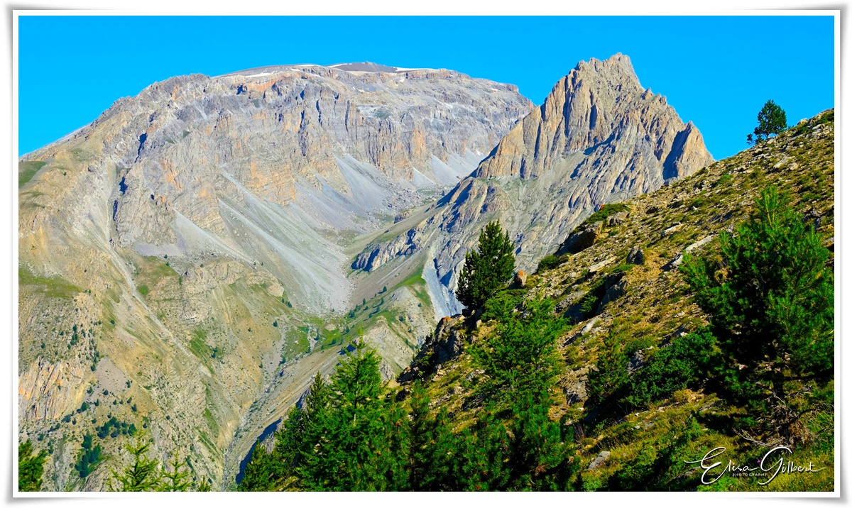A la rencontre de l'Edelweiss