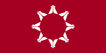 Oglala flag