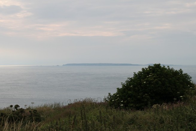 9 Nez de Jobourg (6)