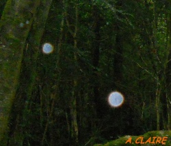 La page d'Annie Claire 