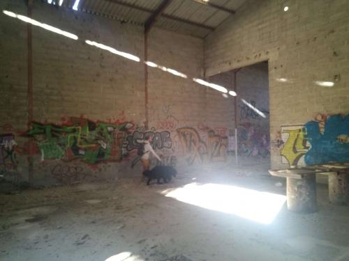 Grand hangar abandonnée arrière court d'une carrière