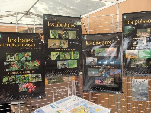 -La Fête de la Musique à Châtillon sur Seine
