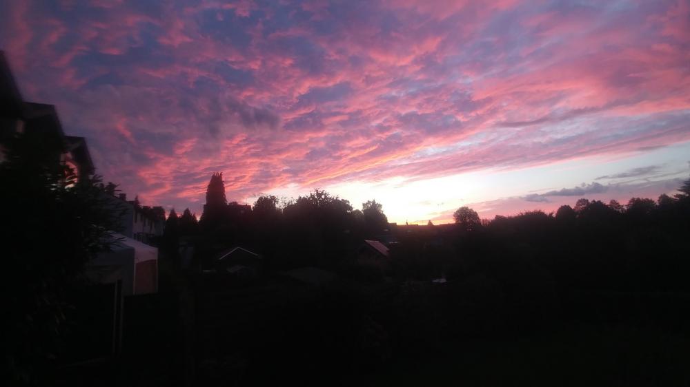 Peaceful Day at Home on July 16th 2024