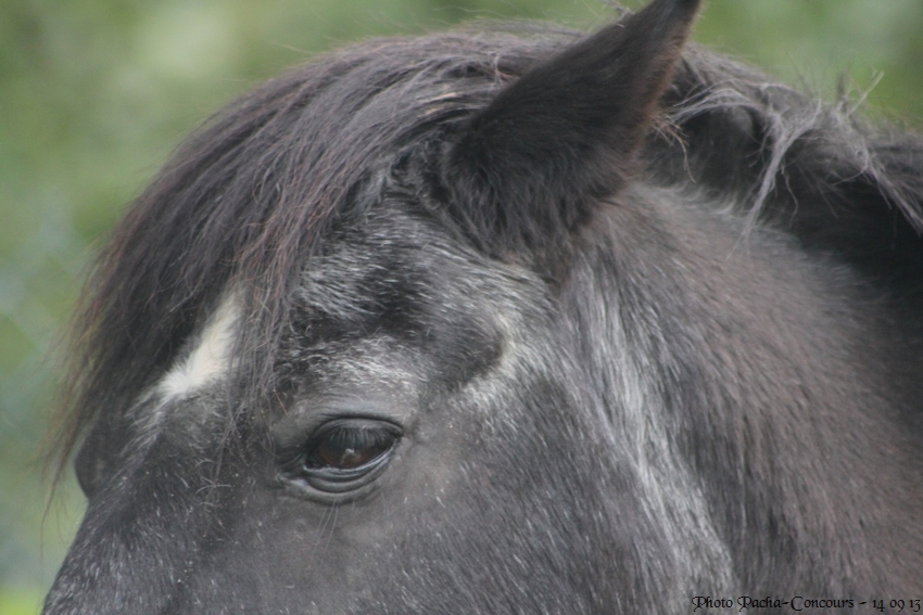 doudou & black 14/09/13