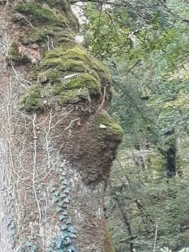 Yves P.‏ - les émanants