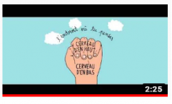 Comment expliquer le cerveau aux enfants?
