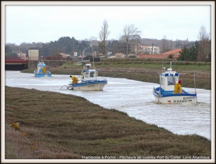 Pêcheurs de civelles au Port du collet - 44 - 2018