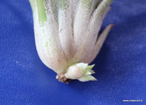 Lundi 28.03 au Dimanche 03.04