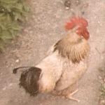 Estelle, ma fille de l'eau préferée