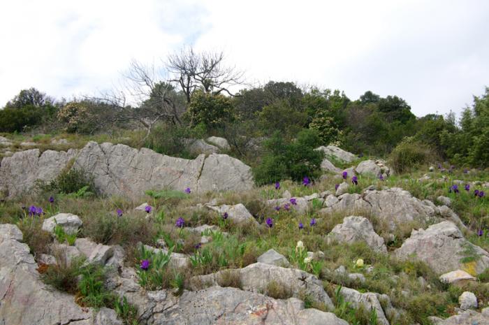 Département du Gard