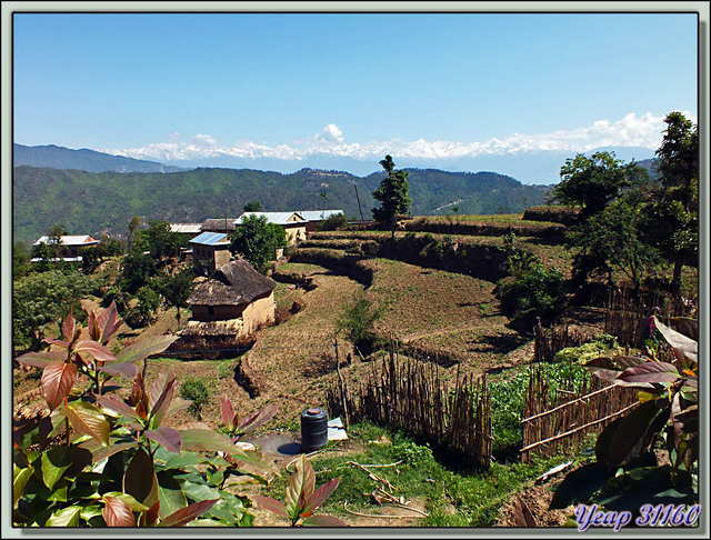 Blog de images-du-pays-des-ours : Images du Pays des Ours (et d'ailleurs ...), Traversée des collines entre Nagarkot et Katmandou: maison traditionnelle népalaise - Népal