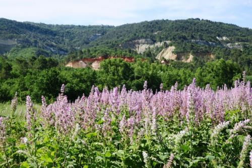 Visite du Colorado Provençal à Rustrel