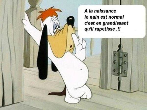 Humour du vendredi ... !!!