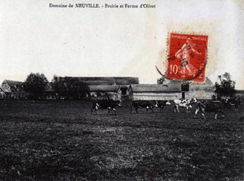 Gambais dans les Yvelines (1ère partie)