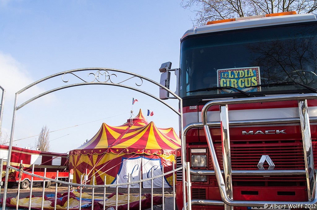 C'est le cirque sur mon blog.