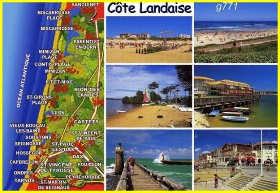 ⊱♥⊱╮ღ꧁  40 LES LANDES ꧂ღ ⊱♥≺  
